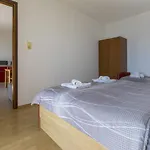 Apartment Kostrencic Crikvenica